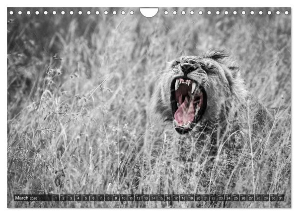 Produktbild: tanzania fine art (Wall Calendar 2026 DIN A4 landscape), CALVENDO 12 Month Wall Calendar