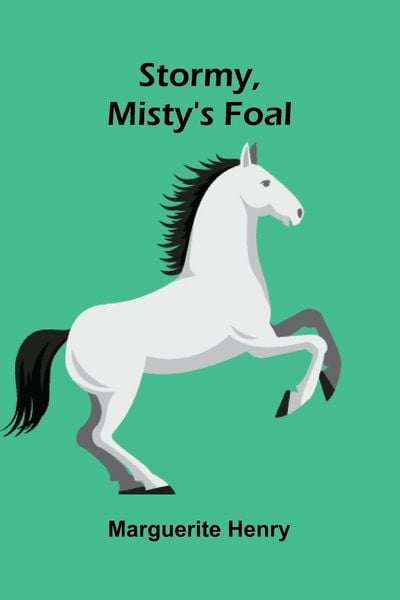 Produktbild: Stormy, Misty's Foal