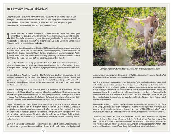 Produktbild: DuMont Reise-Handbuch Reisef&uuml;hrer Mongolei