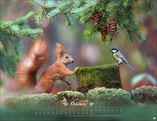 Produktbild: Vadim Trunov: M&auml;rchenhaftes Waldleben Posterkalender 2027