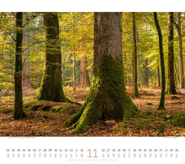 Produktbild: Wald Kalender 2027