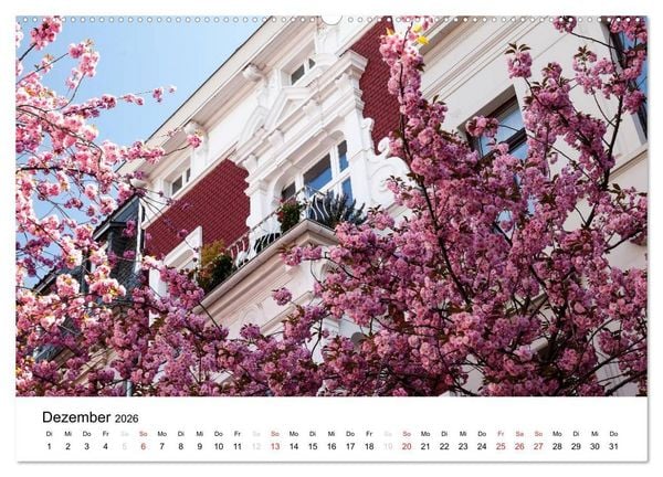 Produktbild: Bonn - Kirschbl&uuml;tenfest in der Altstadt (hochwertiger Premium Wandkalender 2026 DIN A2 quer), Kunstdruck in Hochglanz