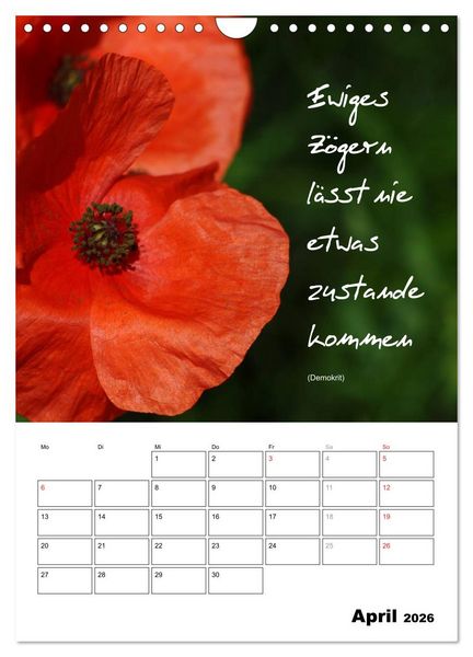 Produktbild: Spr&uuml;che und Weisheiten f&uuml;r&acute; s Jahr (Wandkalender 2026 DIN A4 hoch), CALVENDO Monatskalender