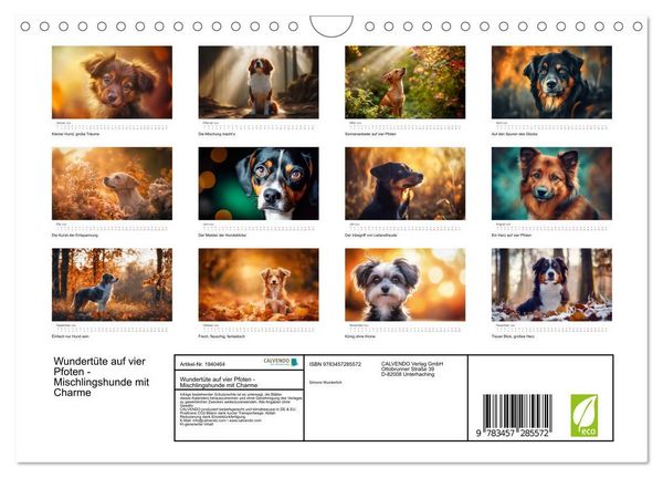 Produktbild: Wundert&uuml;te auf vier Pfoten - Mischlingshunde mit Charme (Wandkalender 2026 DIN A4 quer), CALVENDO Monatskalender