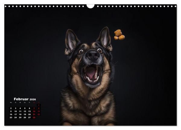 Produktbild: Leckerchen! (Wandkalender 2026 DIN A3 quer), CALVENDO Monatskalender