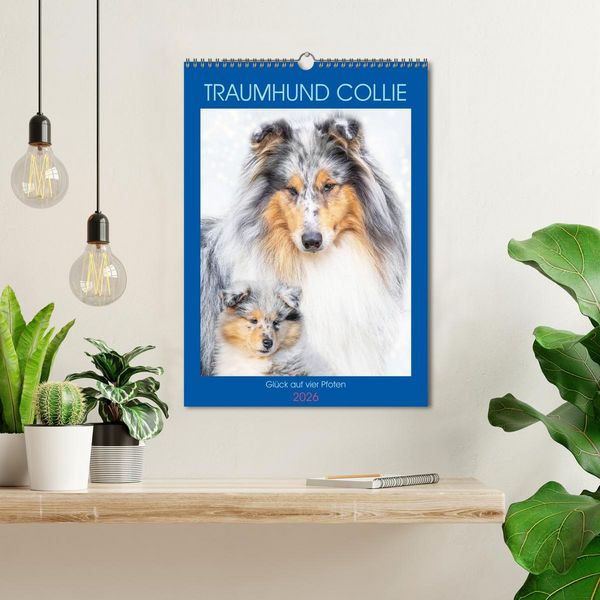 Produktbild: Traumhund Collie - Gl&uuml;ck auf vier Pfoten (Wandkalender 2026 DIN A3 hoch), CALVENDO Monatskalender