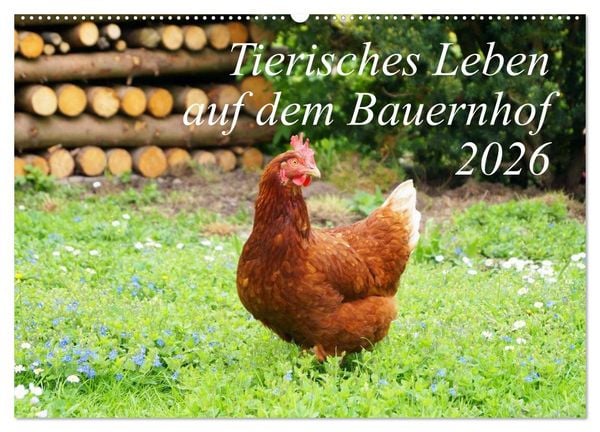 Produktbild: Tierisches Leben auf dem Bauernhof 2026 (Wandkalender 2026 DIN A2 quer), CALVENDO Monatskalender