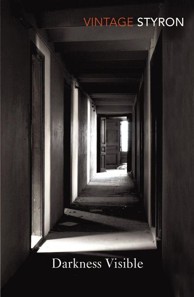 Produktbild: Darkness Visible