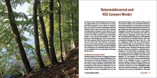 Produktbild: Mecklenburgs alte Buchenw&auml;lder