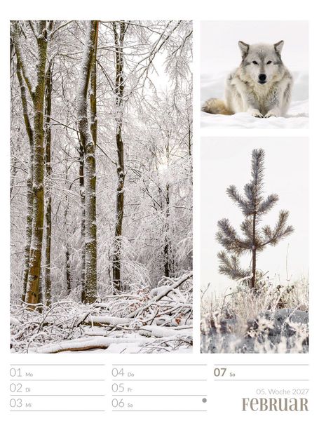 Produktbild: Farben der Natur Wochenplaner Kalender 2027