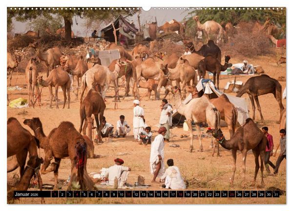 Produktbild: Rajasthan, Indien - Pushkar Mela (hochwertiger Premium Wandkalender 2026 DIN A2 quer), Kunstdruck in Hochglanz