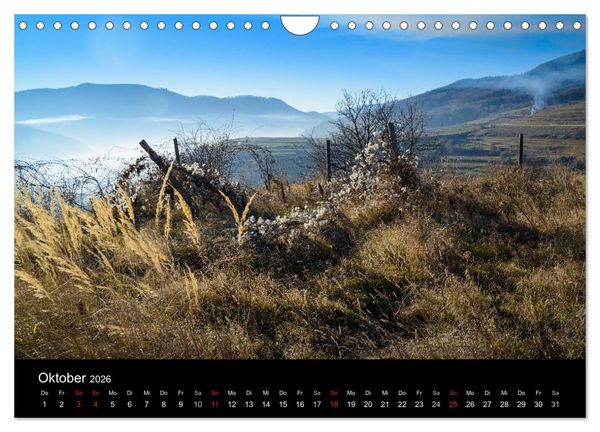 Produktbild: Wachau, Wachau, du Tr&auml;umerin (Wandkalender 2026 DIN A4 quer), CALVENDO Monatskalender