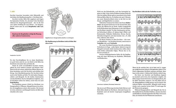 Produktbild: Das gro&szlig;e Hochbeet-Buch