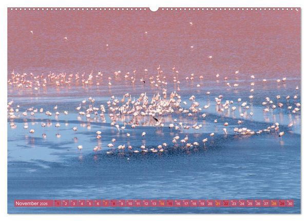 Produktbild: Farbenfrohes Bolivien (hochwertiger Premium Wandkalender 2026 DIN A2 quer), Kunstdruck in Hochglanz