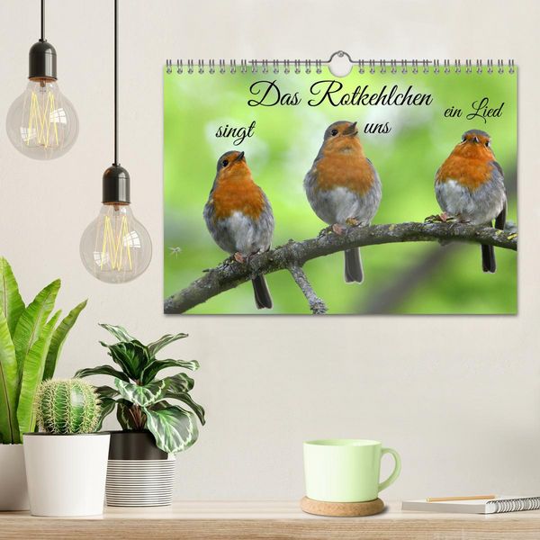 Produktbild: Das Rotkehlchen singt uns ein Lied (Wandkalender 2026 DIN A4 quer), CALVENDO Monatskalender