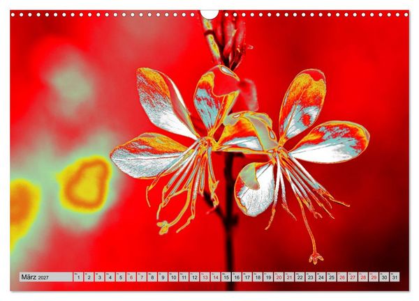 Produktbild: Blumen Pop-Art (Wandkalender 2027 DIN A3 quer), CALVENDO Monatskalender