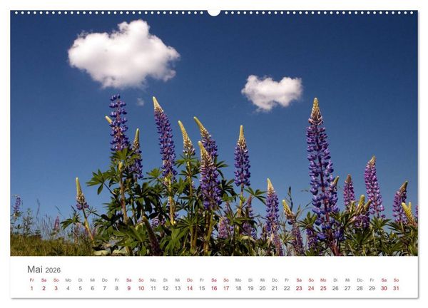 Produktbild: Nordisch gut - Schweden (Wandkalender 2026 DIN A2 quer), CALVENDO Monatskalender