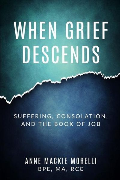 Produktbild: When Grief Descends: Suffering, Consolation, And The Book Of Job
