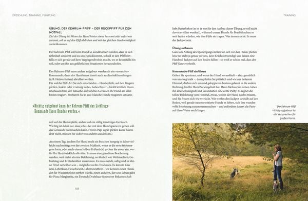 Produktbild: Leinen los! Freilauftraining f&uuml;r den Hund
