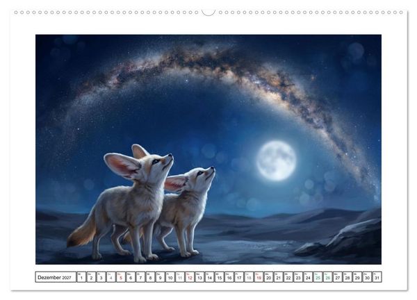 Produktbild: Fenneks - Neugierige Momente in der W&uuml;ste (hochwertiger Premium Wandkalender 2027 DIN A2 quer), Kunstdruck in Hochglanz