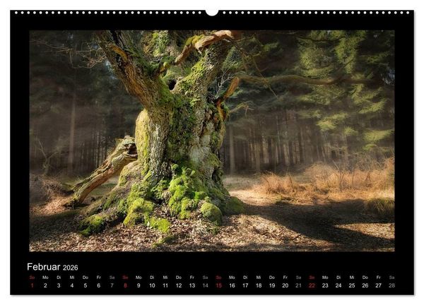 Produktbild: M&auml;rchenhafter Reinhardswald und Urwald Sababurg (hochwertiger Premium Wandkalender 2026 DIN A2 quer), Kunstdruck in Hochglanz