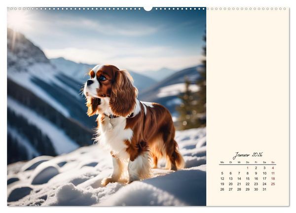 Produktbild: Goldige Kavalier King Charles Spaniels (hochwertiger Premium Wandkalender 2026 DIN A2 quer), Kunstdruck in Hochglanz