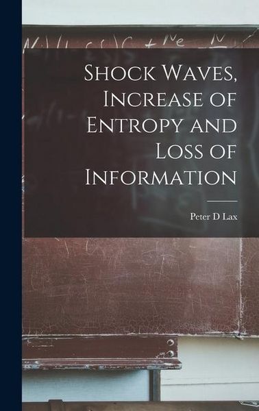 Produktbild: Shock Waves, Increase of Entropy and Loss of Information