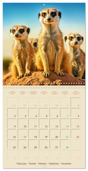 Produktbild: Let's go on Safari - Animal babies in Africa (Wall Calendar 2026 12 &times; 12 Inch) CALVENDO 12 Month Wall Calendar