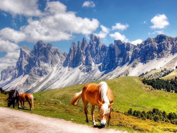 Produktbild: CALVENDO Puzzle Geisler Spitzen Nordw&auml;nde von der Rasch&ouml;tzalpe - Gr&ouml;den | 1000 Teile Lege-Gr&ouml;&szlig;e 64x48cm Foto-Puzzle f&uuml;r gl&uuml;ckliche Stunden