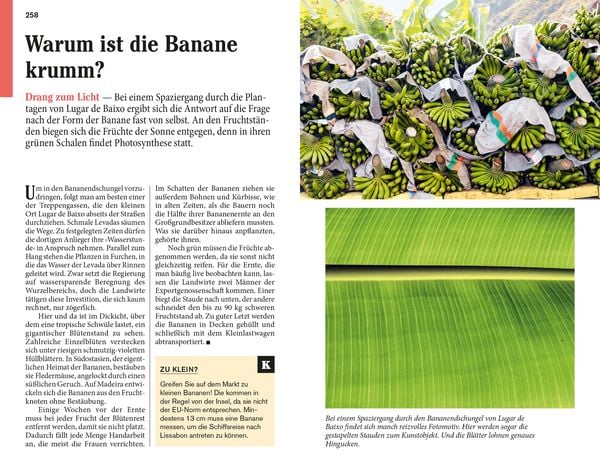 Produktbild: DUMONT Reise-Taschenbuch Reiseführer Madeira