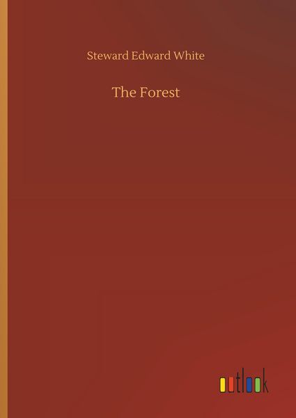 Produktbild: The Heartstone Thief