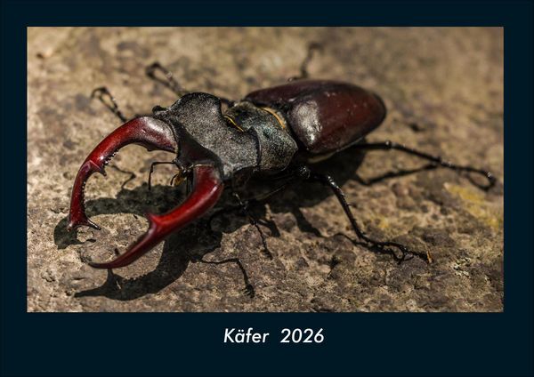 Produktbild: K&auml;fer 2026 Fotokalender DIN A4