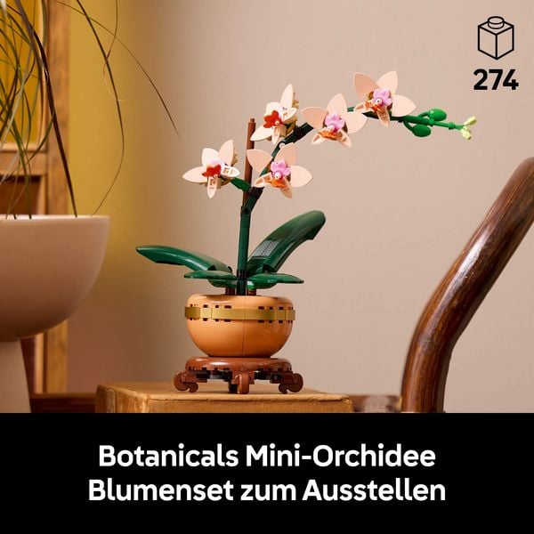 Produktbild: LEGO Botanicals 10343 Mini-Orchidee, Kunstblumen Set f&uuml;r Erwachsene