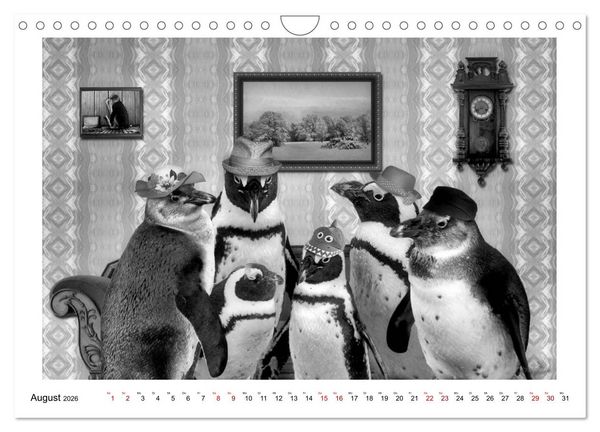 Produktbild: Pinguine privat (Wandkalender 2026 DIN A4 quer), CALVENDO Monatskalender