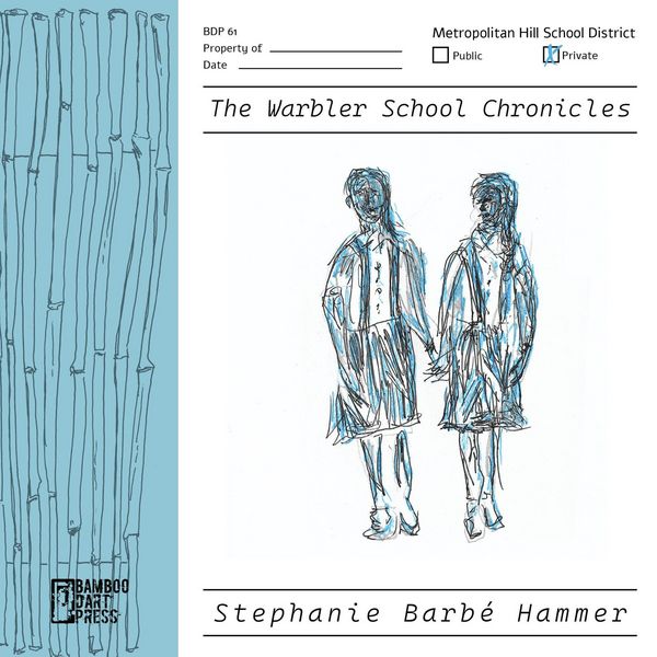 Produktbild: The Warbler School Chronicles