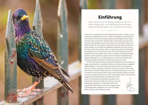 Produktbild: V&ouml;gel beobachten und ihre Lebensr&auml;ume kennenlernen