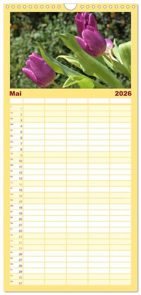 Produktbild: Familienplaner 2026 - Tulpentraum mit 5 Spalten (Wandkalender, 21 x 45 cm) CALVENDO