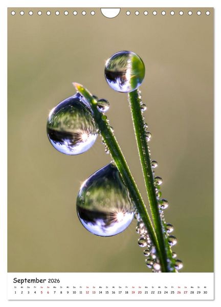 Produktbild: Wasser - Wunderwelt der Tautropfen (Wandkalender 2026 DIN A4 hoch), CALVENDO Monatskalender