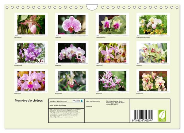 Produktbild: Mon r&ecirc;ve d'orchid&eacute;es (Calendrier mural 2026 DIN A4 vertical), CALVENDO calendrier mensuel