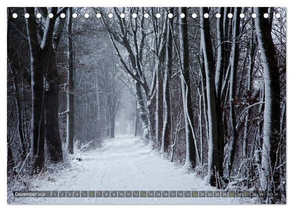 Produktbild: B&auml;ume (Tischkalender 2026 DIN A5 quer), CALVENDO Monatskalender