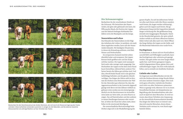 Produktbild: Wie ich meinen Hund endlich verstehe