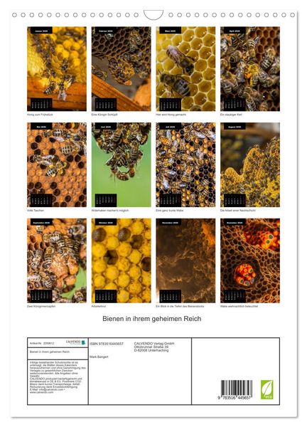 Produktbild: Bienen in ihrem geheimen Reich (Wandkalender 2026 DIN A3 hoch), CALVENDO Monatskalender