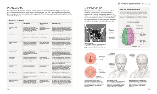 Produktbild: Yoga verstehen - Die Anatomie der Yoga-Haltungen