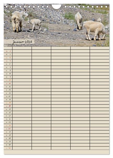 Produktbild: Tierischer Familienplaner (Wandkalender 2026 DIN A4 hoch), CALVENDO Monatskalender