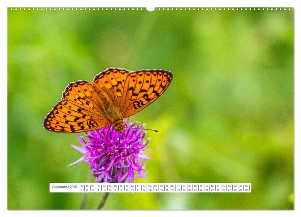 Produktbild: Der Una Nationalpark (hochwertiger Premium Wandkalender 2026 DIN A2 quer), Kunstdruck in Hochglanz