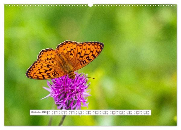 Produktbild: Der Una Nationalpark (Wandkalender 2026 DIN A2 quer), CALVENDO Monatskalender