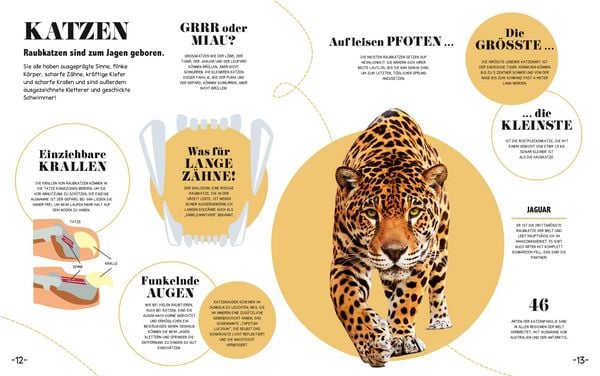 Produktbild: 5-Minuten-Lernen Natur
