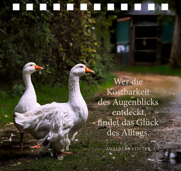 Produktbild: Komm zur Ruhe, finde neue Kraft