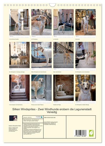 Produktbild: Silken Windsprites - Zwei Windhunde erobern die Lagunenstadt Venedig (Wandkalender 2026 DIN A3 hoch), CALVENDO Monatskalender