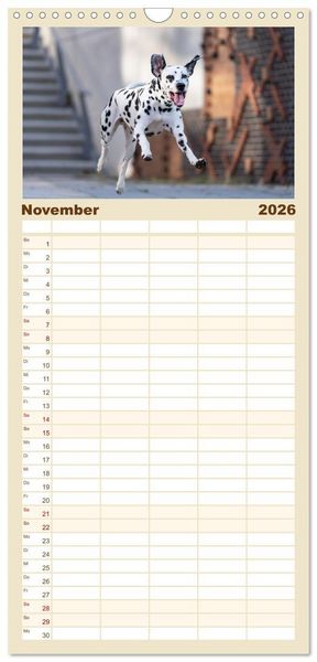 Produktbild: Familienplaner 2026 - Hunde in der City - Unterwegs in Hamburg mit 5 Spalten (Wandkalender, 21 x 45 cm) CALVENDO